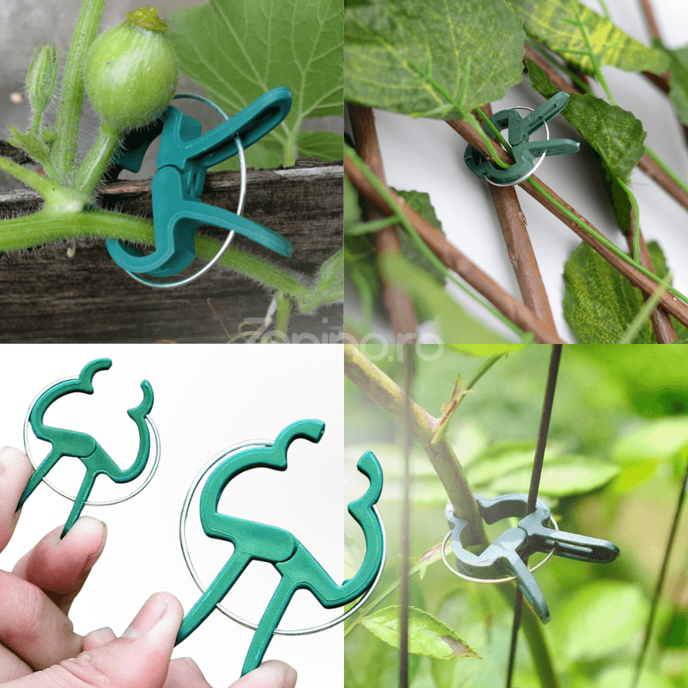 Set of 108 Plant Clips, Holds Position, Two Sizes, Suitable for Palisade, Resistant, Made of Polypropylene, Green