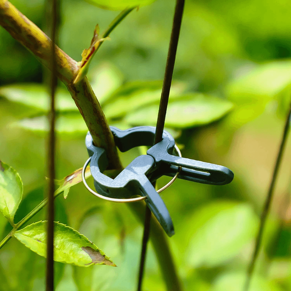 Set of 108 Plant Clips, Holds Position, Two Sizes, Suitable for Palisade, Resistant, Made of Polypropylene, Green
