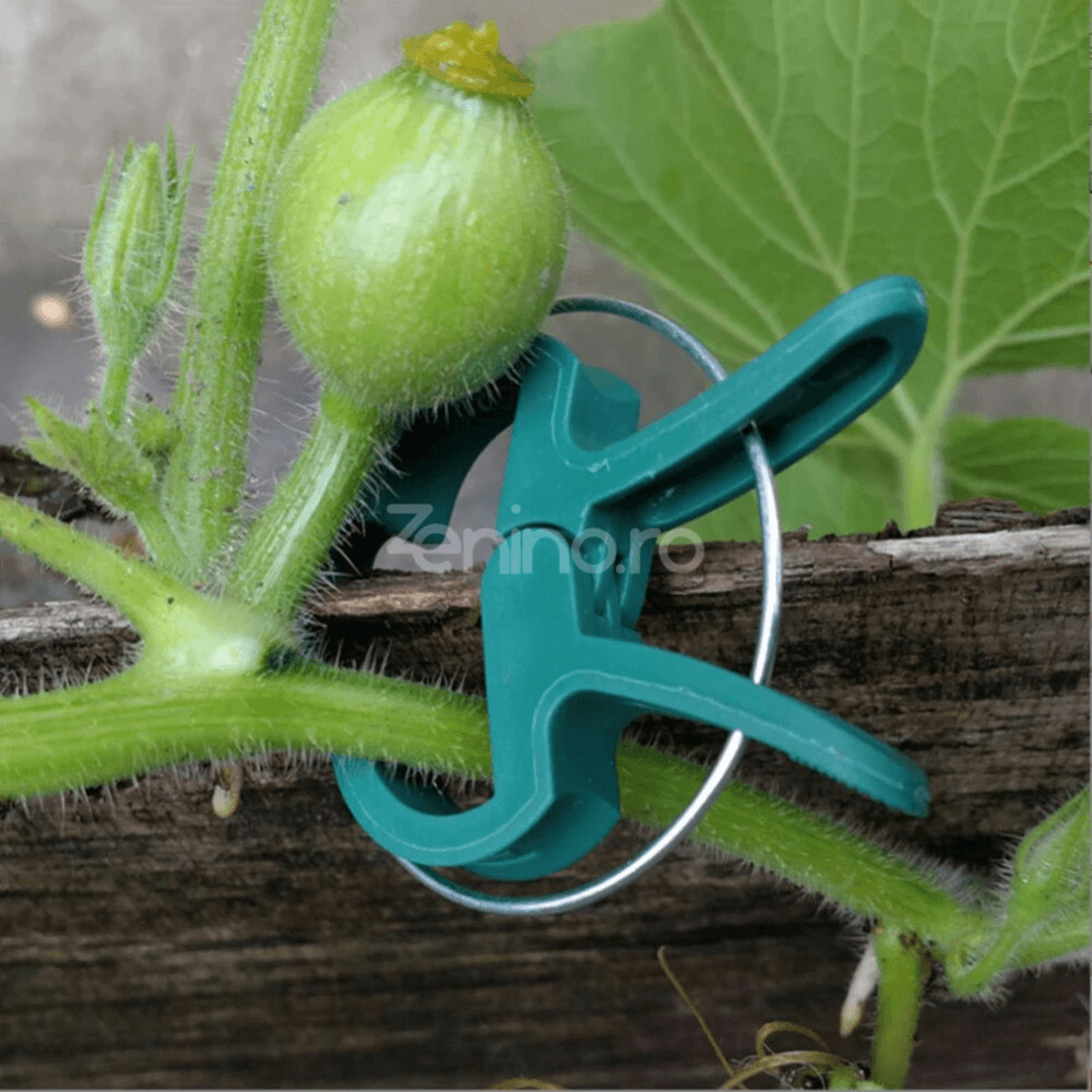 Set of 108 Plant Clips, Holds Position, Two Sizes, Suitable for Palisade, Resistant, Made of Polypropylene, Green