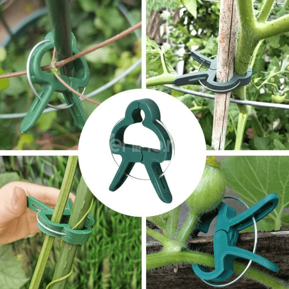 Set of 108 Plant Clips, Holds Position, Two Sizes, Suitable for Palisade, Resistant, Made of Polypropylene, Green