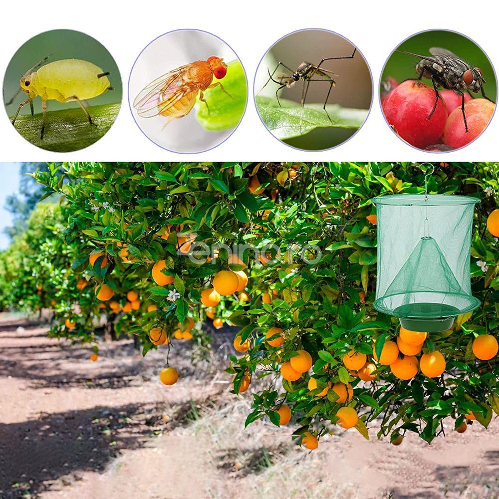 Capcana Muste, Insecte Zburatoare, Suspendabila, Plasa, Exterior