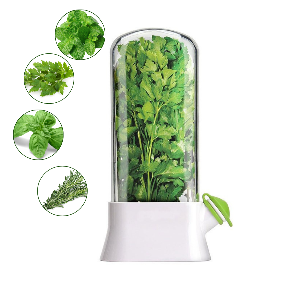 Herb Storage Container, Water Filling System, Easy to Use, 27x16 cm, White