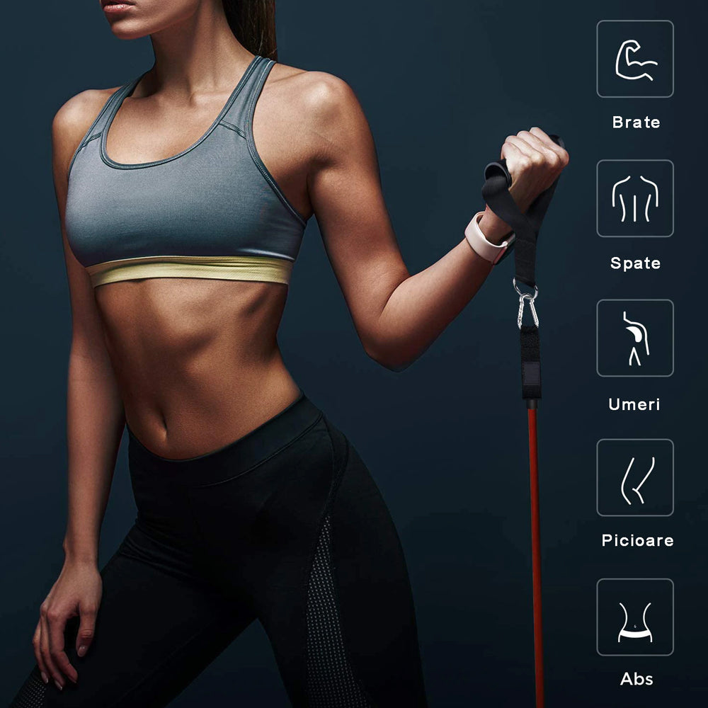 Training Set, Expander with 11 Accessories, 5 Elastic Bands, 2 Handles, 2 Leg Straps, Door Anchor, Bag, Fitness, Black