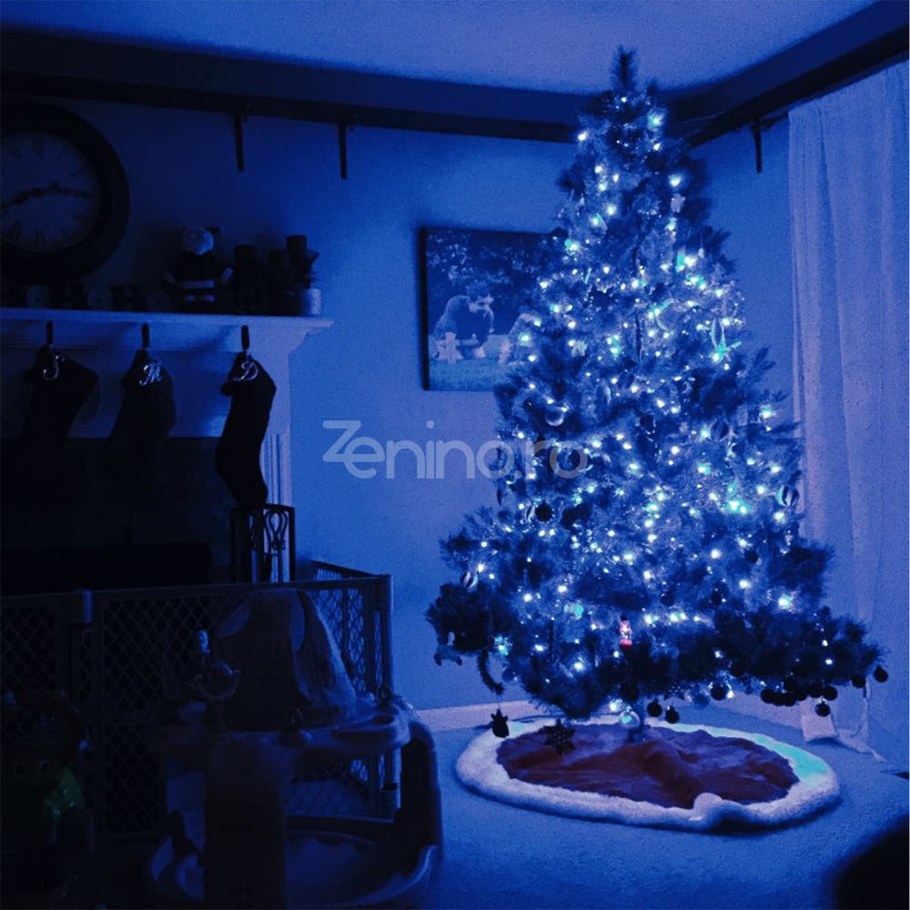 Christmas Installation, Linear, LED Bulbs, Multicolor, 8 Light Effects, Black Wire, 220V, Controller