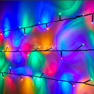 Christmas Installation, Linear, LED Bulbs, Multicolor, 8 Light Effects, Black Wire, 220V, Controller