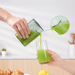 Fruit Juicer, 600W, 2 Speeds, Pulse Function, Juice/Pulp Container, Steel Blades