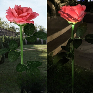 Set of 4 Zenino Tulip Solar Lamps - 3 Flowers per Lamp, Durable, IP65, Ground Mounted, 600mAh, 78 cm, Multicolor
