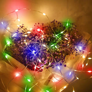 Christmas Installation, Linear, LED Bulbs, Multicolor, 8 Light Effects, Transparent Wire, 220V, Controller