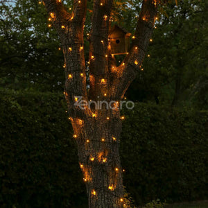 Instalatie de Craciun, Liniara, Becuri LED, Multicolor, 8 Jocuri de Lumini, Fir Negru, 220V, Controler
