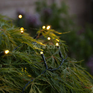 Christmas Installation, Linear, LED Bulbs, Multicolor, 8 Light Effects, Black Wire, 220V, Controller