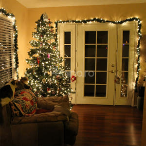 Christmas Installation, Linear, LED Bulbs, Multicolor, 8 Light Effects, Black Wire, 220V, Controller