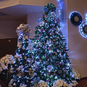 Christmas Installation, Linear, LED Bulbs, Multicolor, 8 Light Effects, Black Wire, 220V, Controller