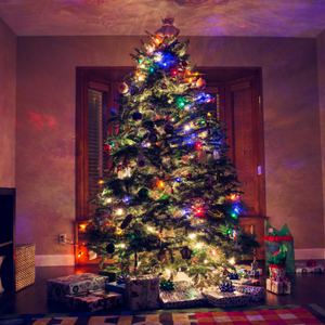 Christmas Installation, Linear, LED Bulbs, Multicolor, 8 Light Effects, Black Wire, 220V, Controller