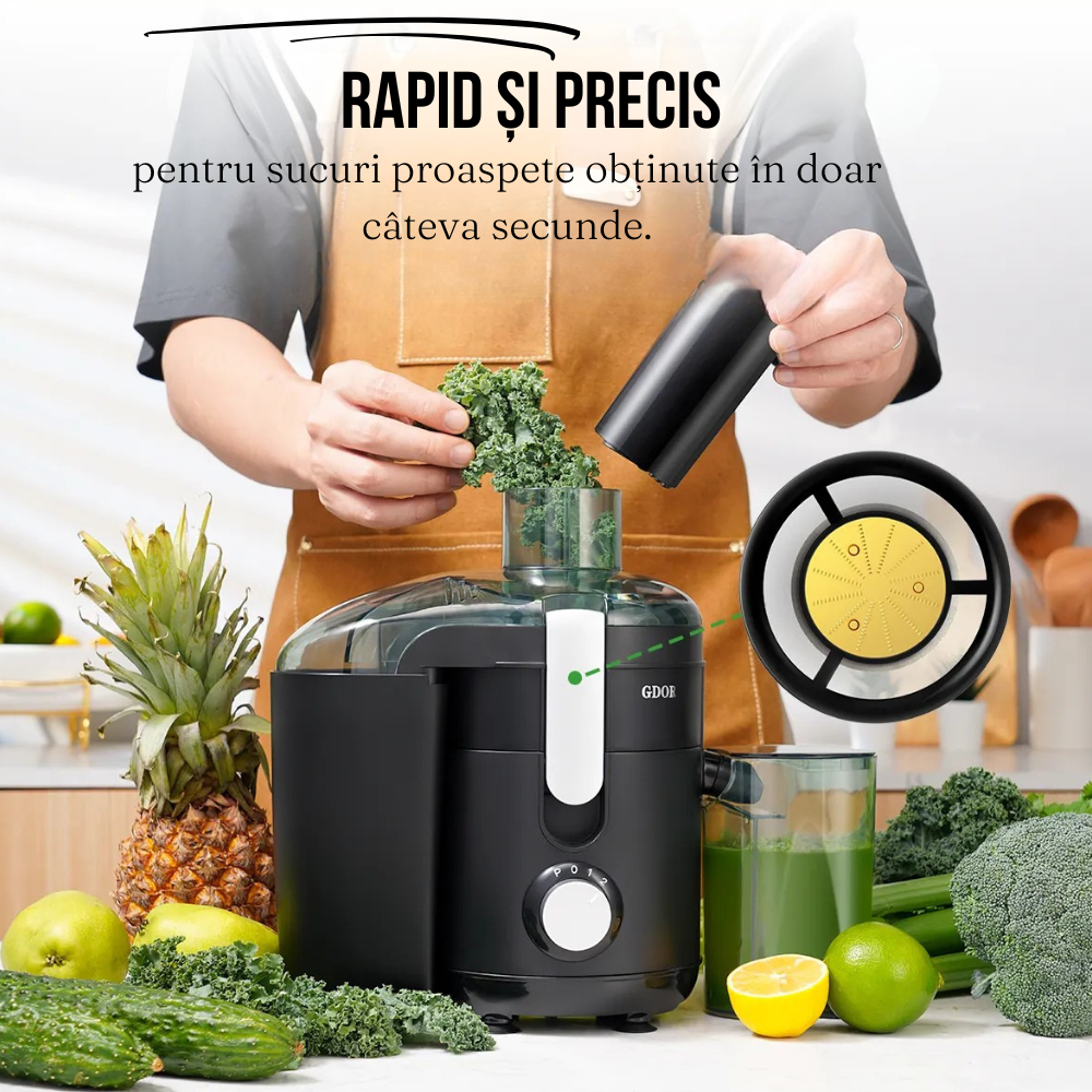 Fruit Juicer, 600W, 2 Speeds, Pulse Function, Juice/Pulp Container, Steel Blades