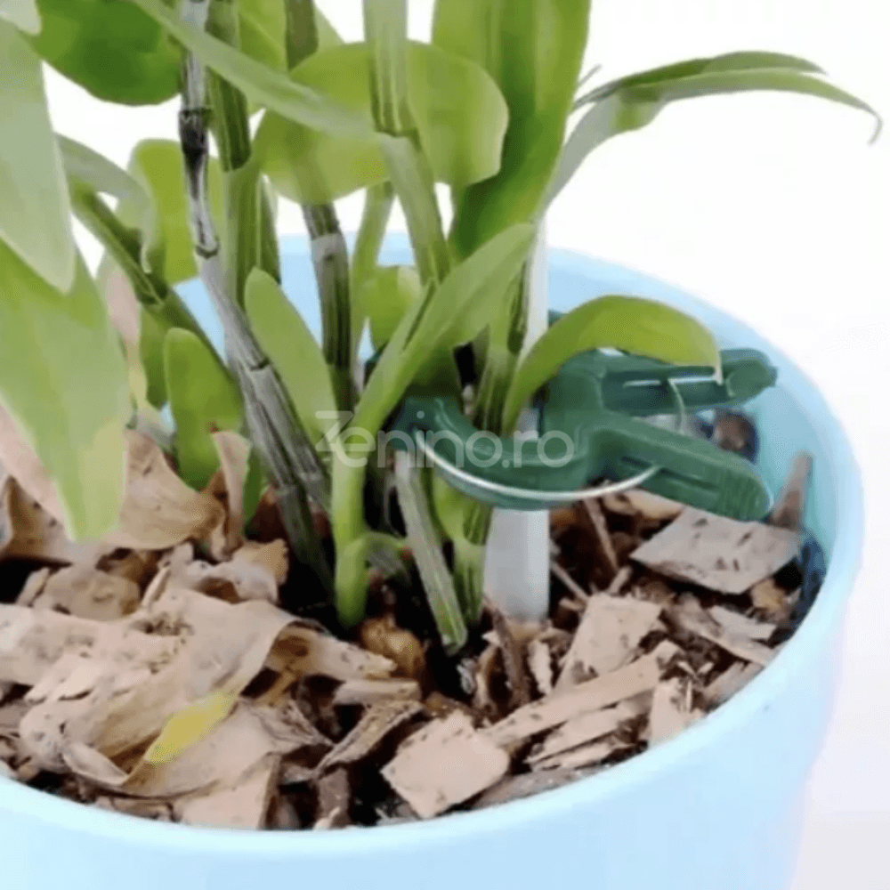 Set of 108 Plant Clips, Holds Position, Two Sizes, Suitable for Palisade, Resistant, Made of Polypropylene, Green