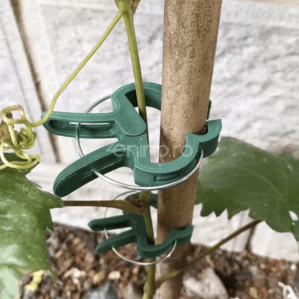 Set of 108 Plant Clips, Holds Position, Two Sizes, Suitable for Palisade, Resistant, Made of Polypropylene, Green