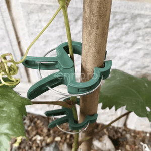Set of 108 Plant Clips, Holds Position, Two Sizes, Suitable for Palisade, Resistant, Made of Polypropylene, Green