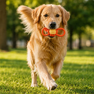 Jucarie Sfoara pentru Caini, Multicolor, Diferite Dimensiuni
