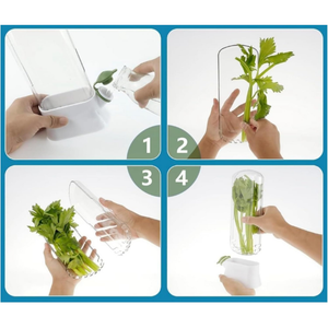 Herb Storage Container, Water Filling System, Easy to Use, 27x16 cm, White