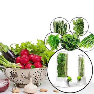 Herb Storage Container, Water Filling System, Easy to Use, 27x16 cm, White