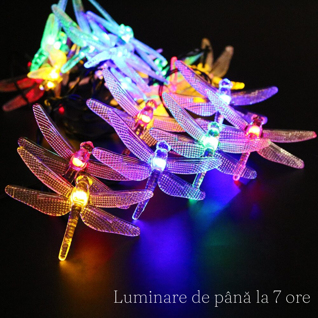 Solar Panel String, 30 LED, Dragonfly Shape, IP65, Ground Mount, 7 Hours Lighting, Length 6.5m, Multicolor