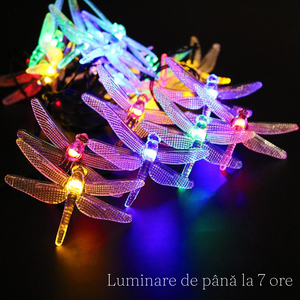 Solar Panel String, 30 LED, Dragonfly Shape, IP65, Ground Mount, 7 Hours Lighting, Length 6.5m, Multicolor