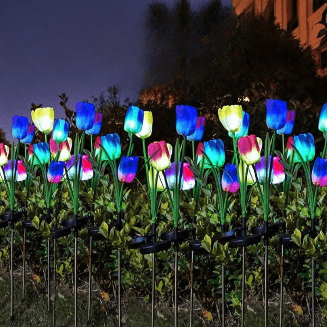 Set of 4 Zenino Tulip Solar Lamps - 3 Flowers per Lamp, Durable, IP65, Ground Mounted, 600mAh, 78 cm, Multicolor